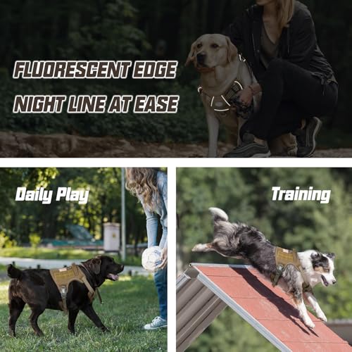 Best image of tactical dog vests