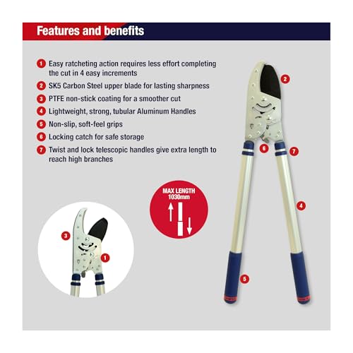 Best image of telescoping loppers