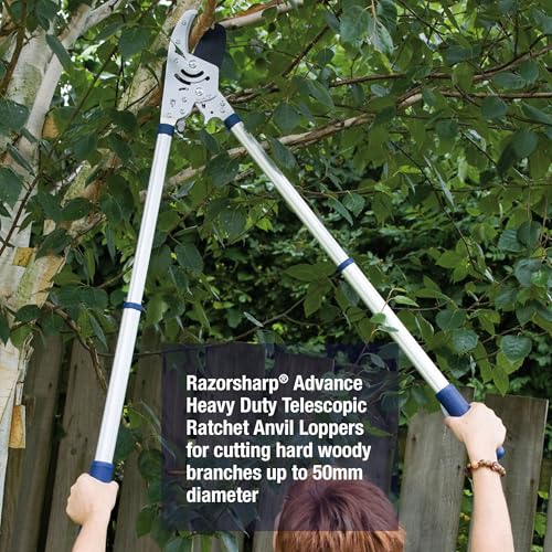Best image of telescoping loppers