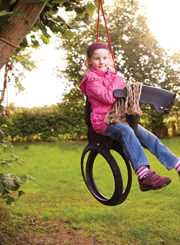Best image of tire swings