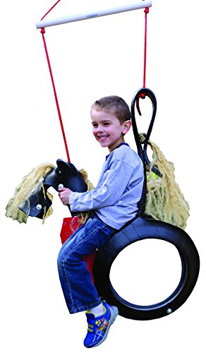 Best image of tire swings