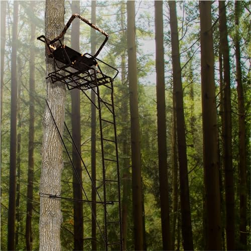 Best image of tree deer stands