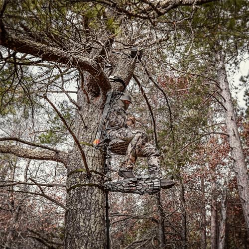Best image of tree deer stands