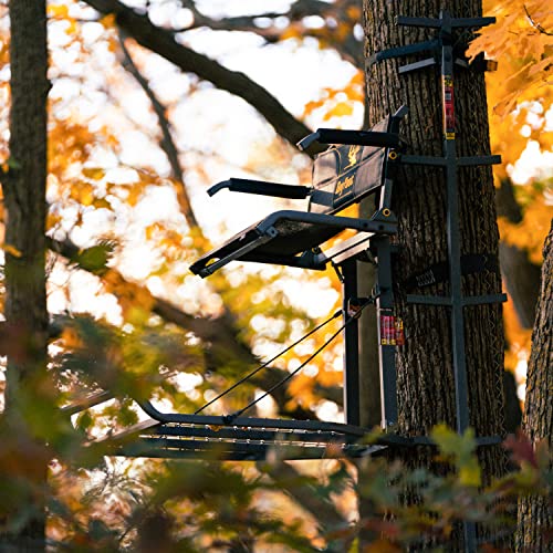 Best image of tree deer stands