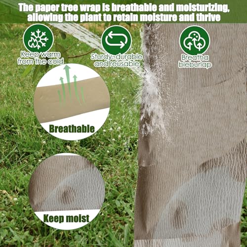 Best image of tree wraps