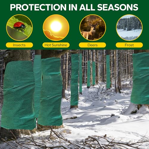 Best image of tree wraps