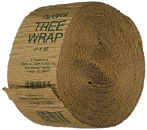 Best image of tree wraps