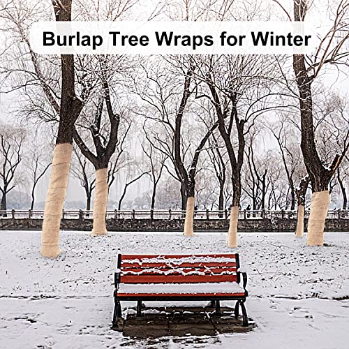 Best image of tree wraps
