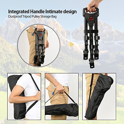 Best image of tripod dollies