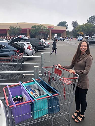 Best image of trolley bags
