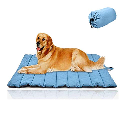 alternative dog beds