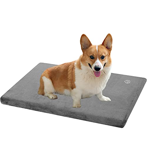 Best image of waterproof dog beds