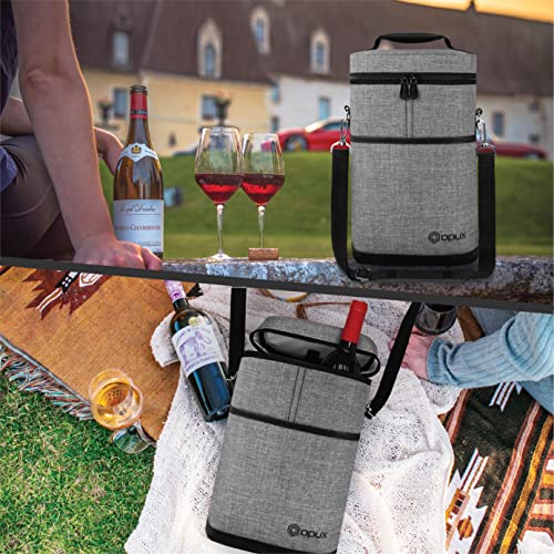 Best image of wine totes