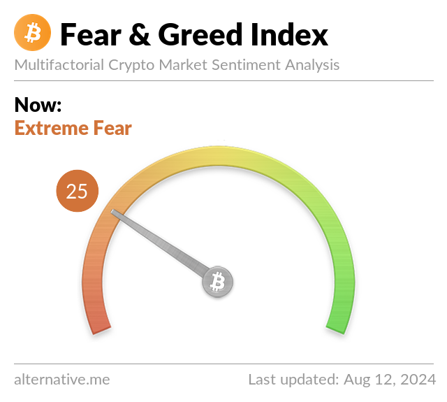 BitCoin Fear & Greed Index on August 12, 2024