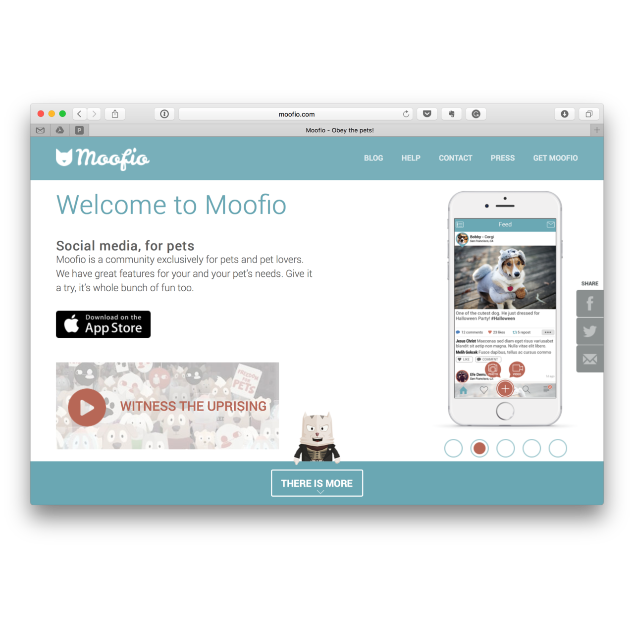 3 Best Petcube Alternatives Reviews, Features, Pros & Cons