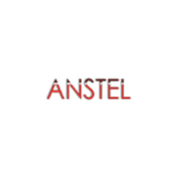Anstel Global icon
