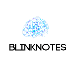 Blinknotes icon