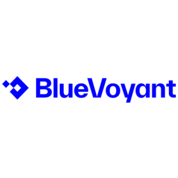 BlueVoyant icon
