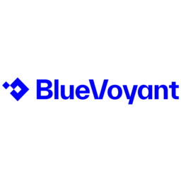 BlueVoyant icon