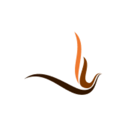 Firezone icon