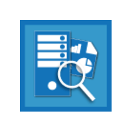 IIS Reporting Tool icon