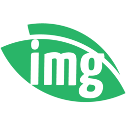 Img.vision icon