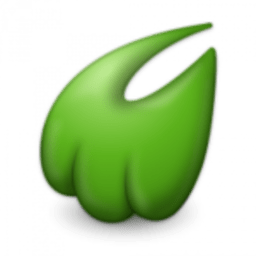 Midori icon