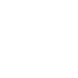 Mind icon