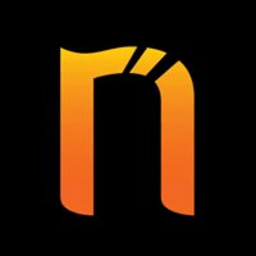 Netsparker icon