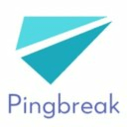 Pingbreak icon