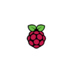 Raspberry Pi icon