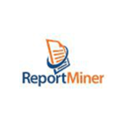 Report Miner icon