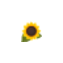 Sunflower icon