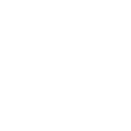 Tessel 2 icon