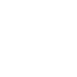 WampServer icon