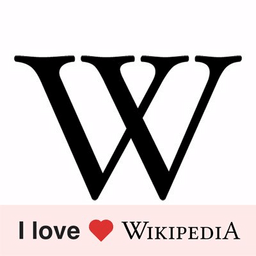 Wikipedia icon