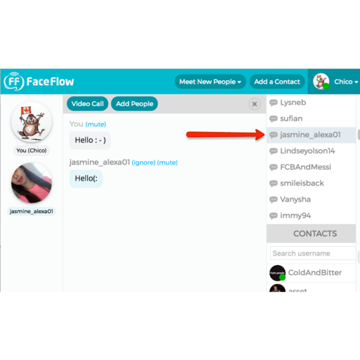 19 Best FaceFlow Alternatives Reviews Features Pros Cons 