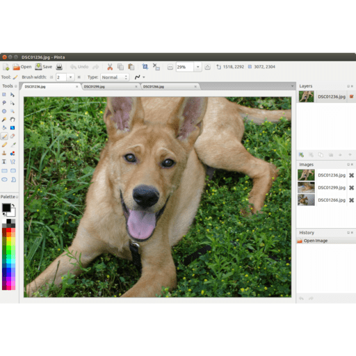 Pinta screenshot 1