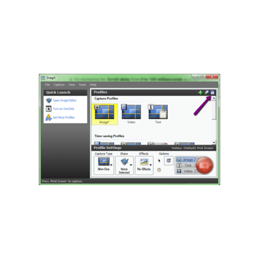 snagit alternative for videos screen capture
