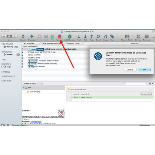 sourcetree update git version