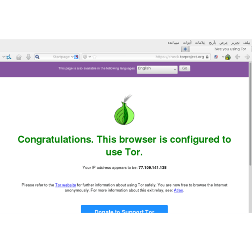 the best tor browser